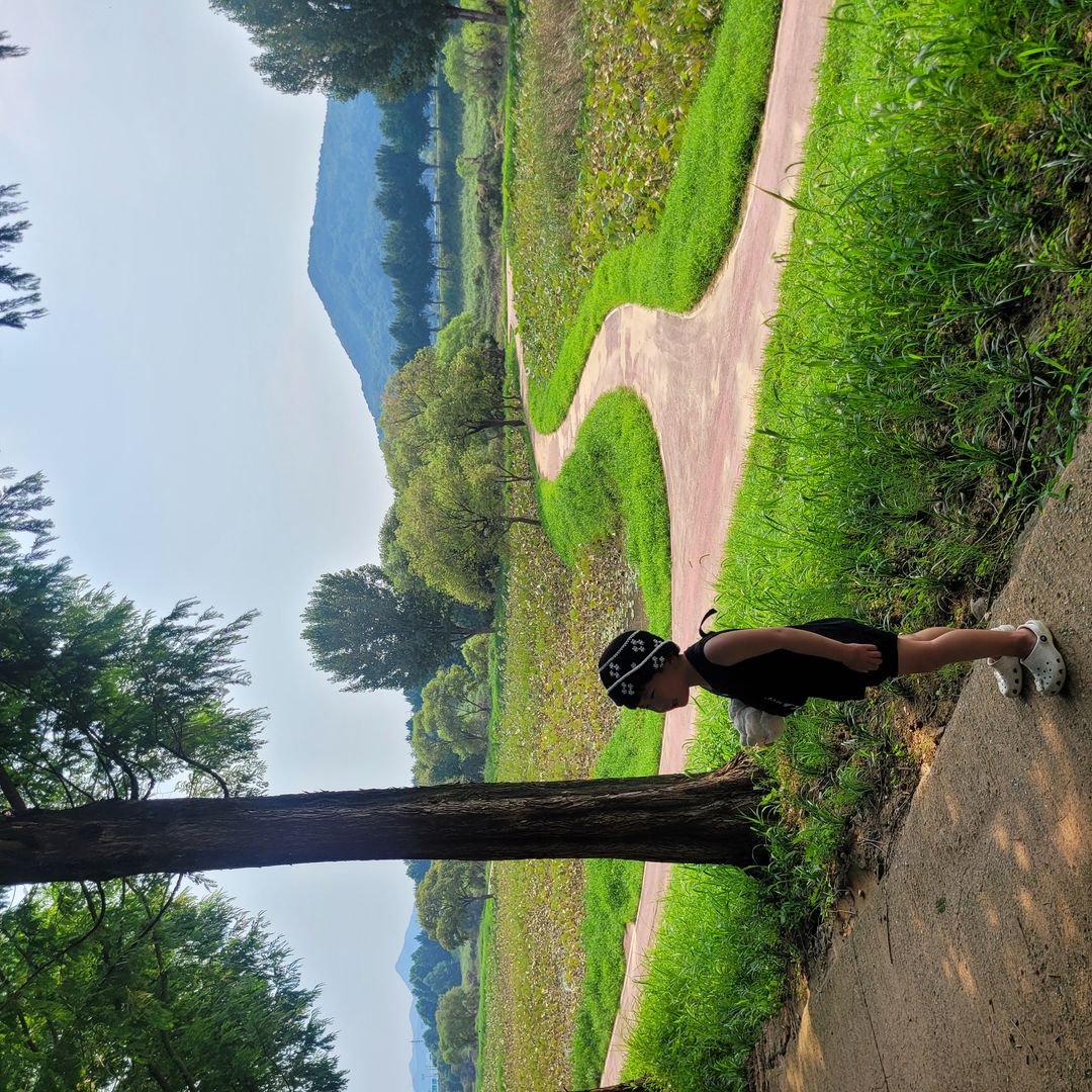 https://image.mom-mom.net/eyJidWNrZXQiOiJtb21tb20tbW9tc3RvdWNoIiwia2V5IjoicGxhY2VzLzY0ZDdiODJlNTk0NGYxNTcyMWE5ODgwNCIsImVkaXRzIjp7InJlc2l6ZSI6eyJ3aWR0aCI6NTAwLCJoZWlnaHQiOjUwMH19fQ==