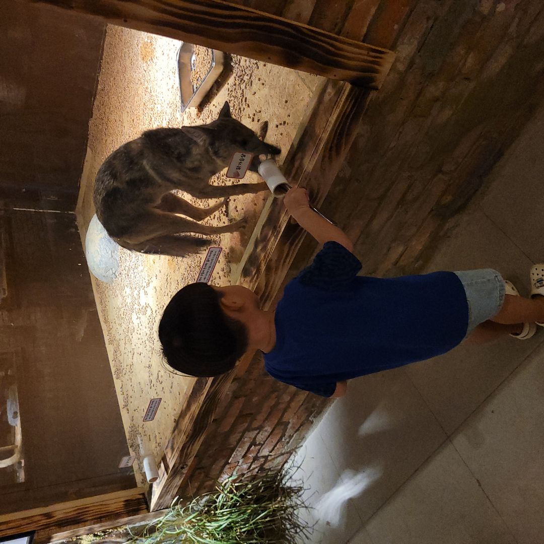 https://image.mom-mom.net/eyJidWNrZXQiOiJtb21tb20tbW9tc3RvdWNoIiwia2V5IjoicGxhY2VzLzY0ZThiYWJiY2U4MDNiMWUwODg0NGMwMyIsImVkaXRzIjp7InJlc2l6ZSI6eyJ3aWR0aCI6NTAwLCJoZWlnaHQiOjUwMH19fQ==