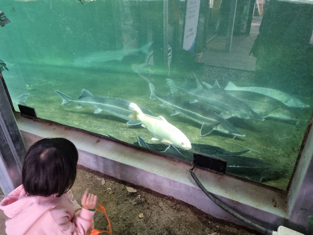 https://image.mom-mom.net/eyJidWNrZXQiOiJtb21tb20tbW9tc3RvdWNoIiwia2V5IjoicGxhY2VzLzY1Nzg2OWY0MjEzMDJkYmE0MTgwNzg1My5qcGciLCJlZGl0cyI6eyJyZXNpemUiOnsid2lkdGgiOjUwMCwiaGVpZ2h0IjozNzV9fX0=