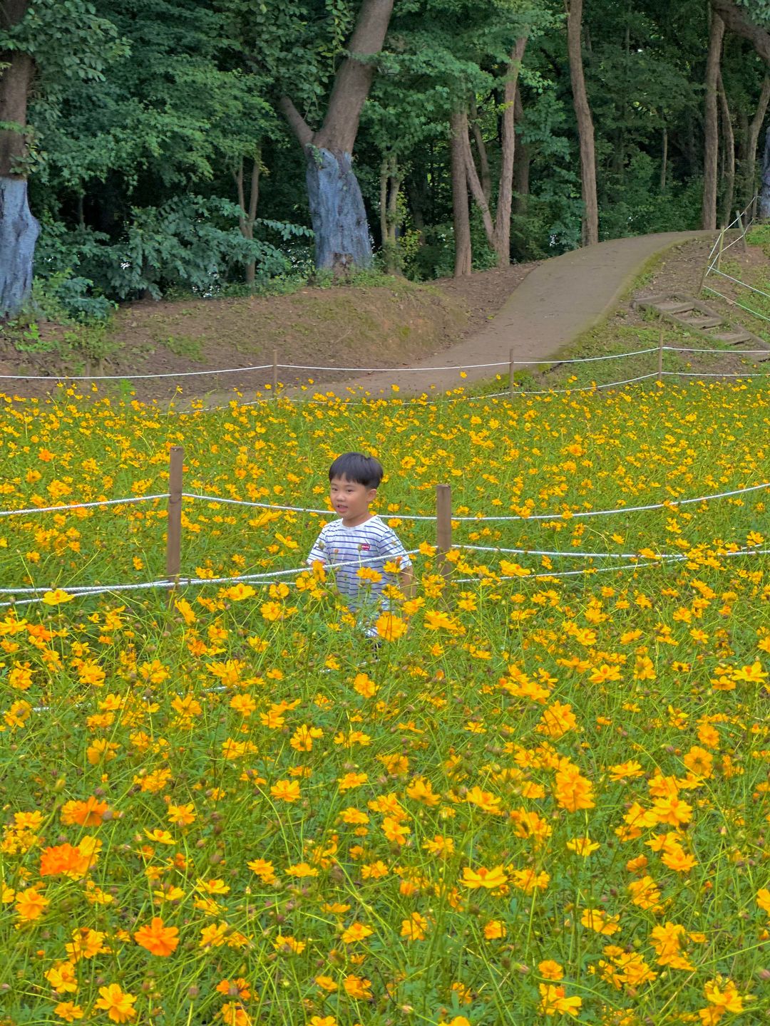 올림픽공원 들꽃마루