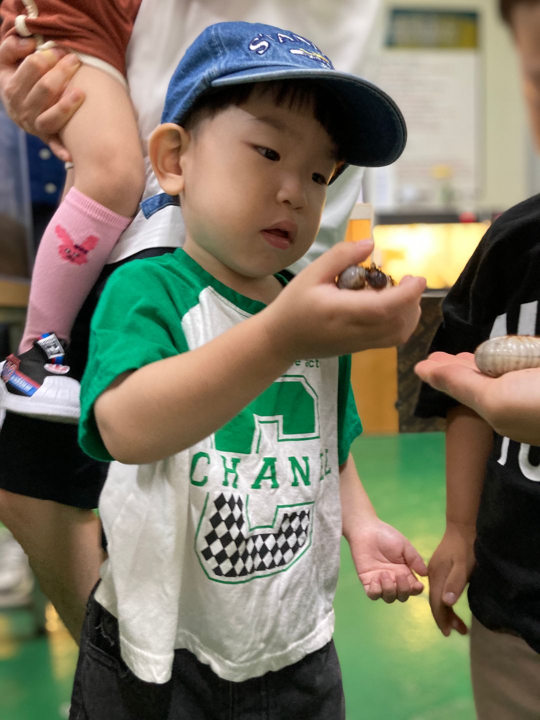 버그밀 곤충체험관