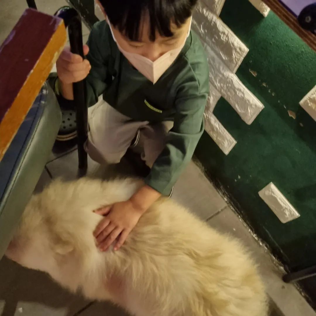 https://image.mom-mom.net/eyJidWNrZXQiOiJtb21tb20tbW9tc3RvdWNoIiwia2V5IjoicGxhY2VzLzY1MTU0ZTg2OTY0YjdiYzMzZTZkMzFjYyIsImVkaXRzIjp7InJlc2l6ZSI6eyJ3aWR0aCI6NTAwLCJoZWlnaHQiOjUwMH19fQ==
