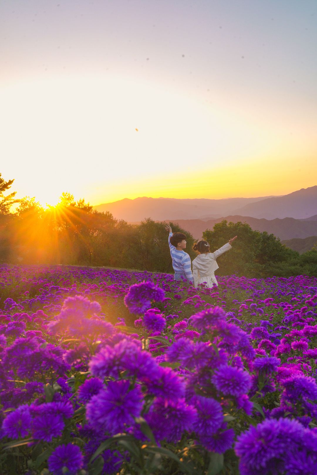 감악산 꽃&별 여행