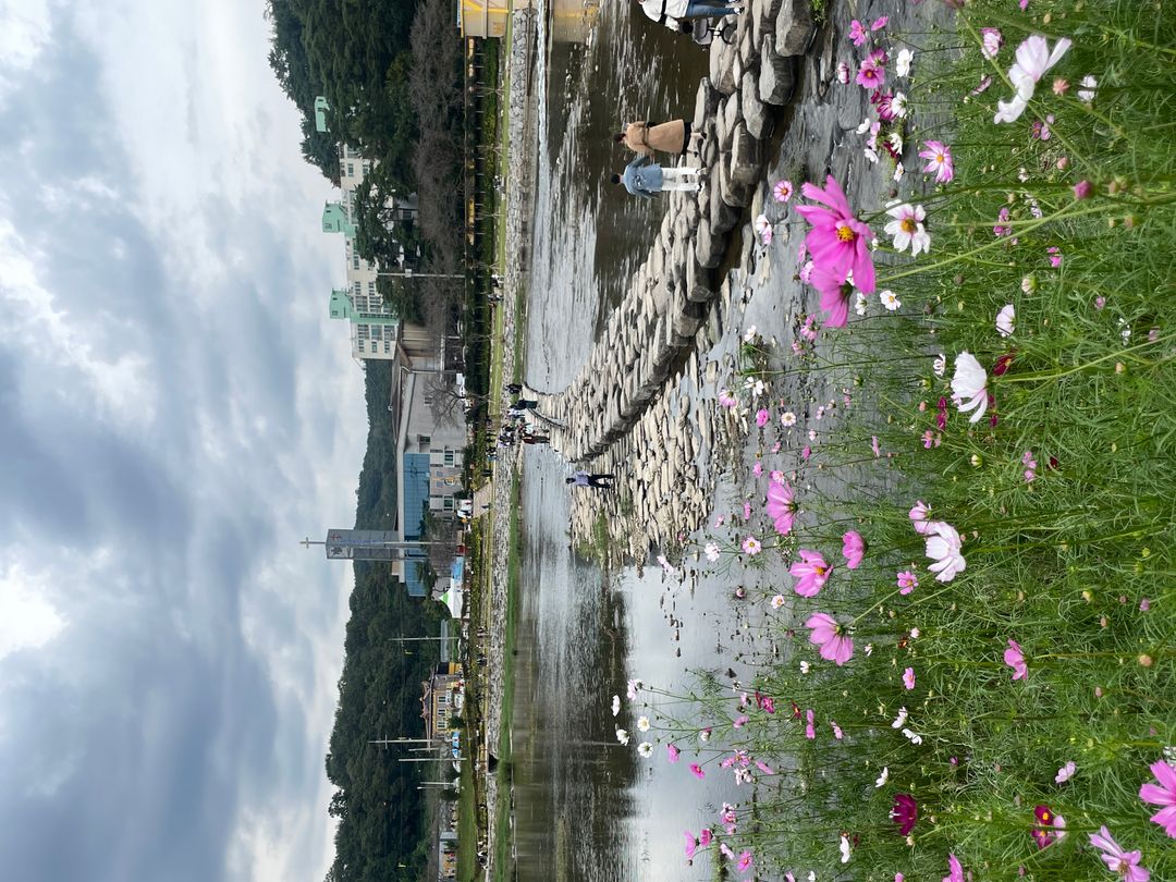https://image.mom-mom.net/eyJidWNrZXQiOiJtb21tb20tbW9tc3RvdWNoIiwia2V5IjoicGxhY2VzLzY1MjFlZjk4ZmRmYThiZDAyOTNkMDBlYyIsImVkaXRzIjp7InJlc2l6ZSI6eyJ3aWR0aCI6NTAwLCJoZWlnaHQiOjM3NX19fQ==