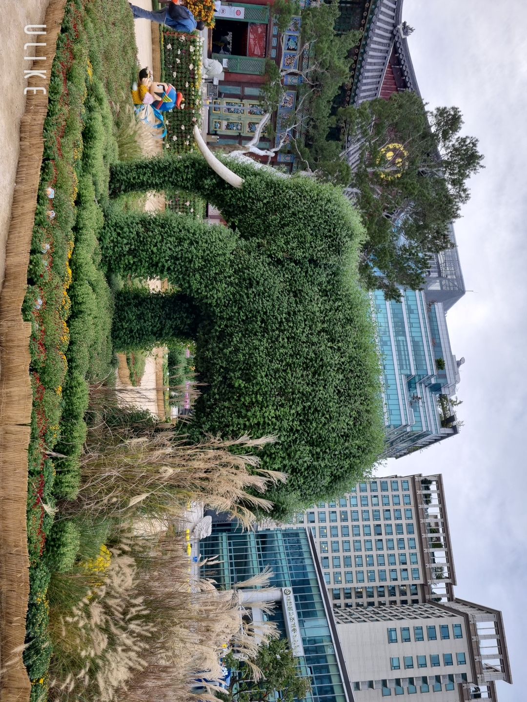 https://image.mom-mom.net/eyJidWNrZXQiOiJtb21tb20tbW9tc3RvdWNoIiwia2V5IjoicGxhY2VzLzY1MjRhOTg4NjI4NzhjZjdmMjg1ZWViOSIsImVkaXRzIjp7InJlc2l6ZSI6eyJ3aWR0aCI6Mzc1LCJoZWlnaHQiOjUwMH19fQ==