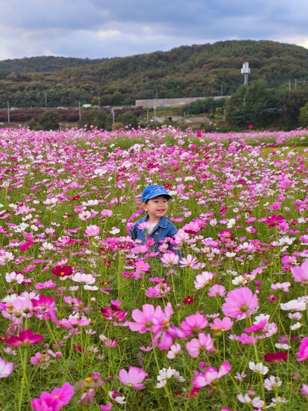 https://image.mom-mom.net/eyJidWNrZXQiOiJtb21tb20tbW9tc3RvdWNoIiwia2V5IjoicGxhY2VzLzY1MjZjMmZmZWQwNDhhZDJkYzRhMDk3YSIsImVkaXRzIjp7InJlc2l6ZSI6eyJ3aWR0aCI6MTA4MCwid2l0aG91dEVubGFyZ2VtZW50Ijp0cnVlfX19