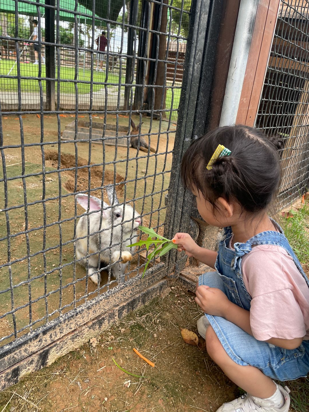 회산 백련지