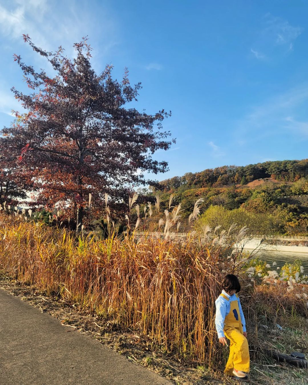 경인아라뱃길