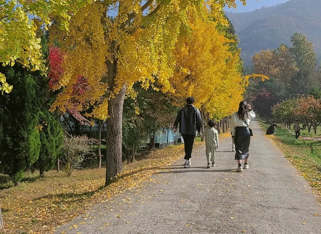 전라남도 산림자원연구소