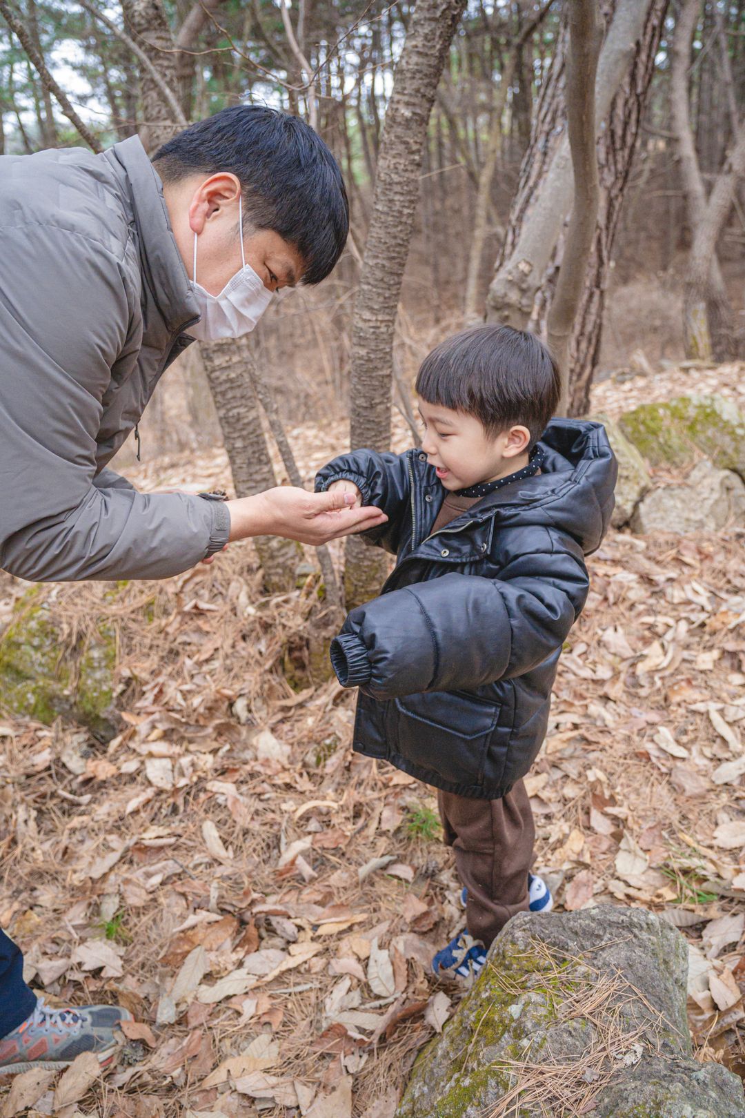 민토리숲