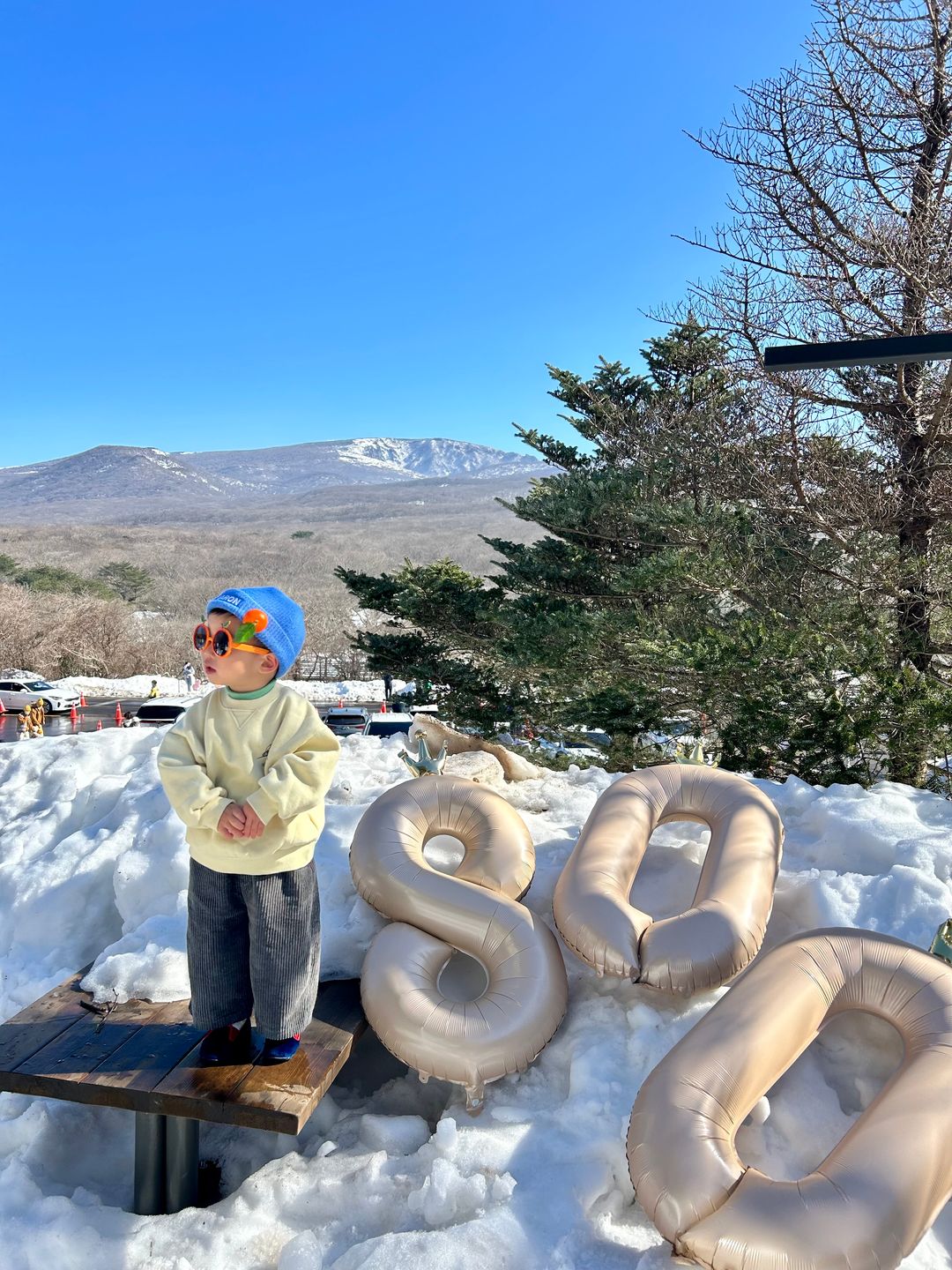 한라산 1100고지