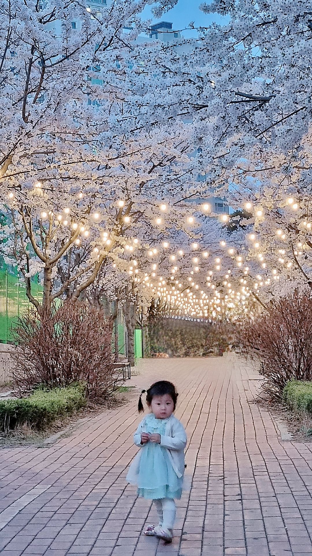 https://image.mom-mom.net/eyJidWNrZXQiOiJtb21tb20tbW9tc3RvdWNoIiwia2V5IjoicGxhY2VzLzY1ZDA2YmRkZWVlZTMxYWVhZDUxYzJhMy5qcGciLCJlZGl0cyI6eyJyZXNpemUiOnsid2lkdGgiOjI4MSwiaGVpZ2h0Ijo1MDB9fX0=