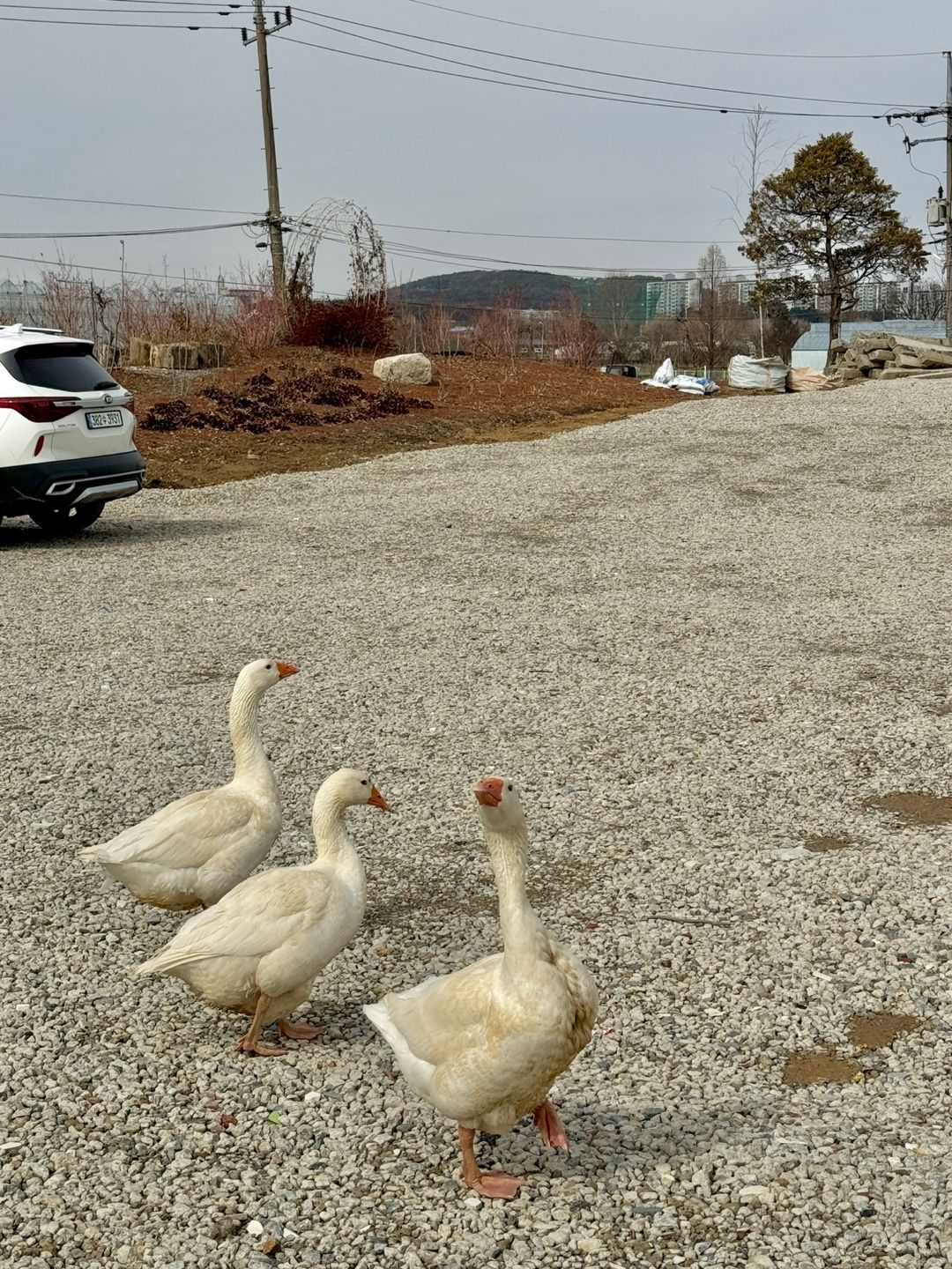 물구리빵집