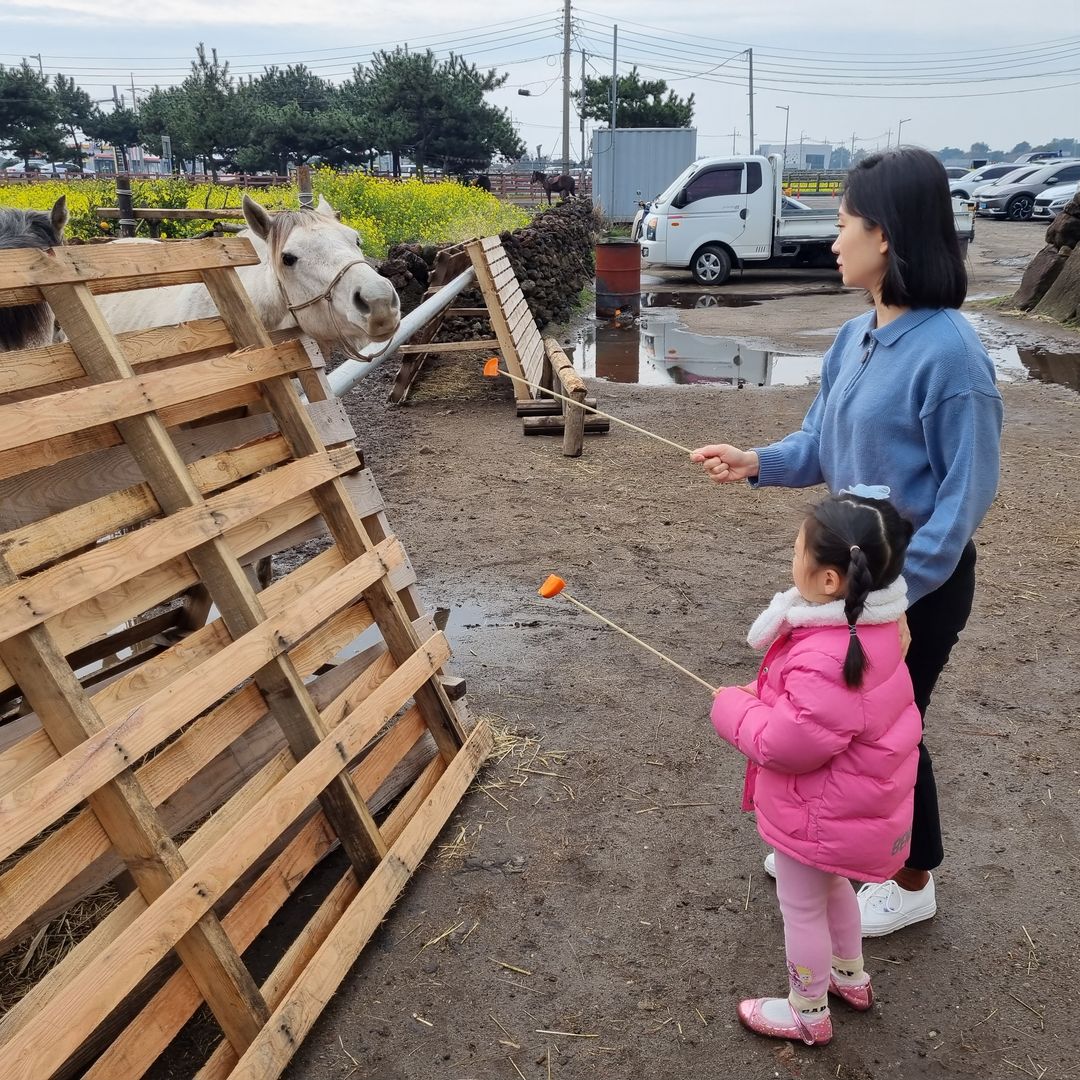 https://image.mom-mom.net/eyJidWNrZXQiOiJtb21tb20tbW9tc3RvdWNoIiwia2V5IjoicGxhY2VzLzY1ZGViMjFkNzkxOGQwYzBiOGNjZmJlZC5qcGciLCJlZGl0cyI6eyJyZXNpemUiOnsid2lkdGgiOjUwMCwiaGVpZ2h0Ijo1MDB9fX0=