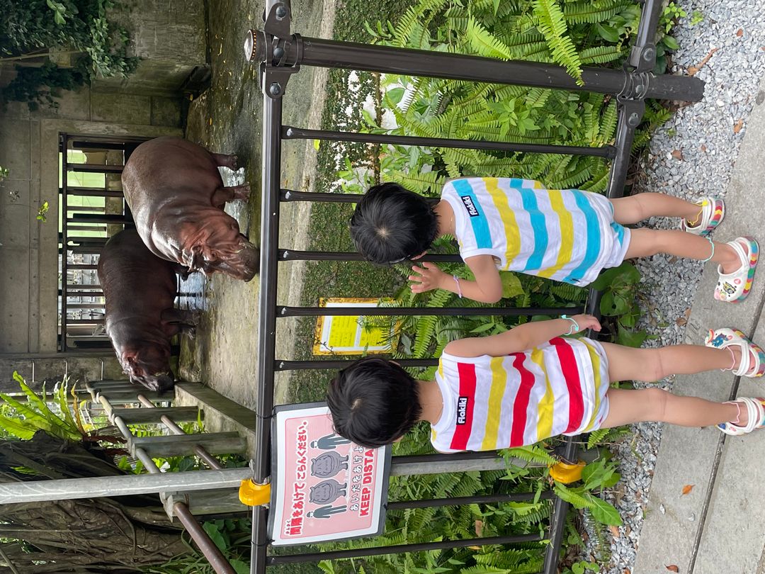 오키나와 어린이나라 동물원