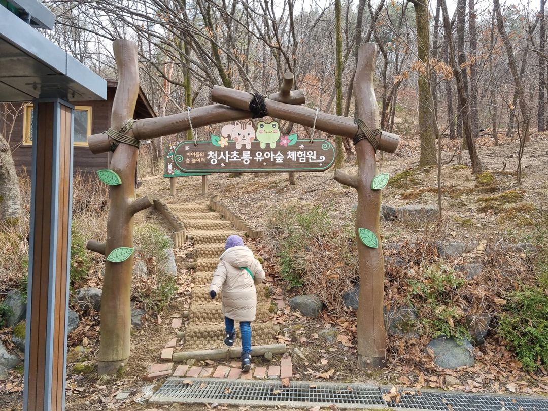 청사초롱 유아숲체험원