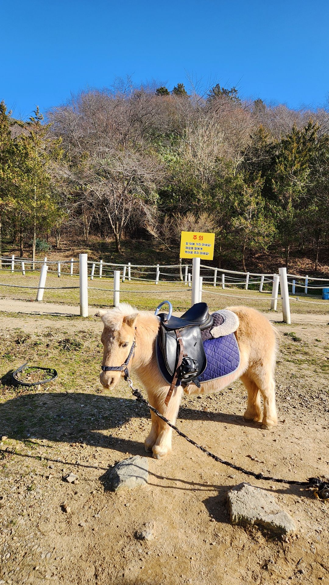 송산목장