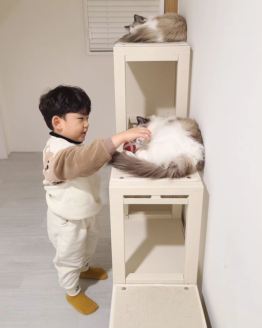 https://image.mom-mom.net/eyJidWNrZXQiOiJtb21tb20tbW9tc3RvdWNoIiwia2V5IjoicGxhY2VzLzY1ZjUyOTRlY2IzOWU0OTZhOTNkYmJkNS5oZWljIiwiZWRpdHMiOnsicmVzaXplIjp7IndpZHRoIjoxMDgwLCJ3aXRob3V0RW5sYXJnZW1lbnQiOnRydWV9fX0=