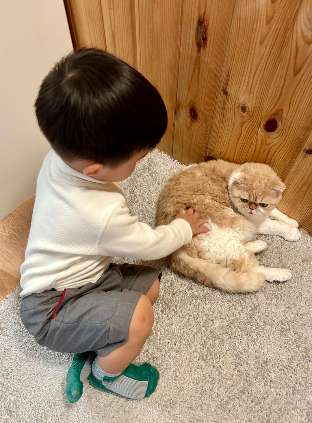 https://image.mom-mom.net/eyJidWNrZXQiOiJtb21tb20tbW9tc3RvdWNoIiwia2V5IjoicGxhY2VzLzY2NGM1ZDc1MmMyMzcwYTY5ODhmMTdmZS5qcGVnIiwiZWRpdHMiOnsicmVzaXplIjp7IndpZHRoIjoxMDgwLCJ3aXRob3V0RW5sYXJnZW1lbnQiOnRydWV9fX0=
