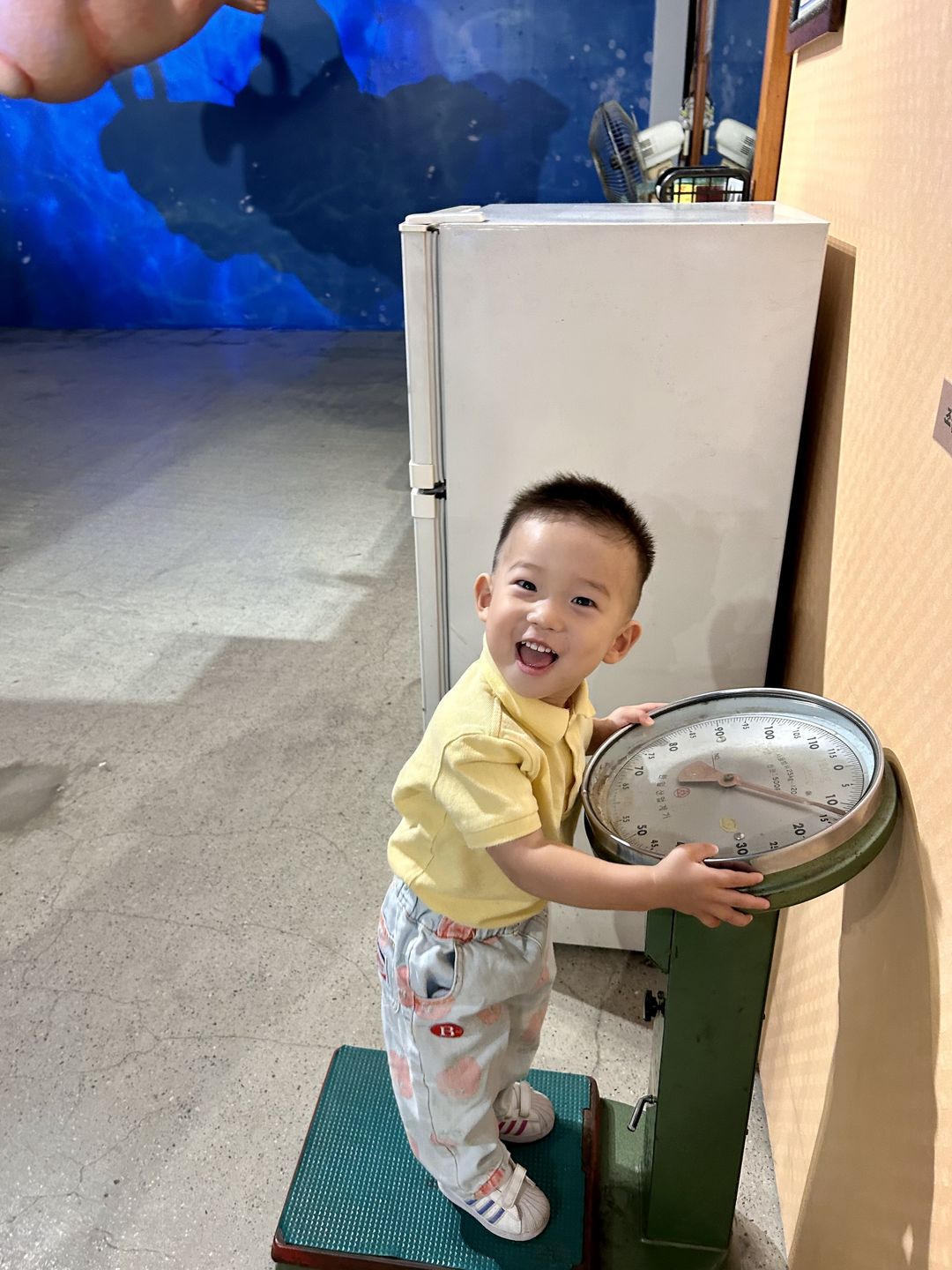 https://image.mom-mom.net/eyJidWNrZXQiOiJtb21tb20tbW9tc3RvdWNoIiwia2V5IjoicGxhY2VzLzY2NTAxMDRjMzVhZTFiNTRmM2ZkODE4Ni5qcGVnIiwiZWRpdHMiOnsicmVzaXplIjp7IndpZHRoIjozNzUsImhlaWdodCI6NTAwfX19