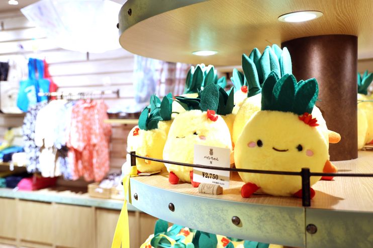 沖縄名護パイナップルパーク 子どもと一緒に訪れる場所 日本沖縄