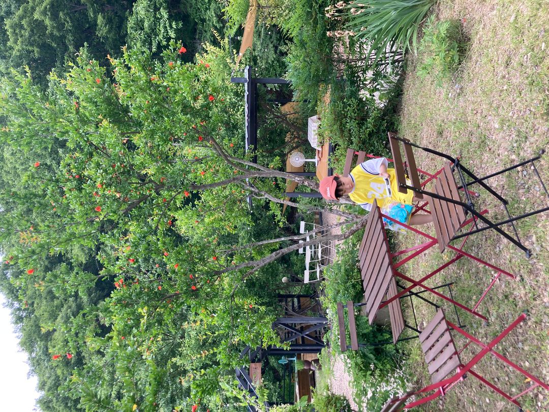 https://image.mom-mom.net/eyJidWNrZXQiOiJtb21tb20tbW9tc3RvdWNoIiwia2V5IjoicGxhY2VzLzY2NTc1M2RmZWZlODBkNTRhYzBjNzc2My5qcGciLCJlZGl0cyI6eyJyZXNpemUiOnsid2lkdGgiOjUwMCwiaGVpZ2h0IjozNzV9fX0=