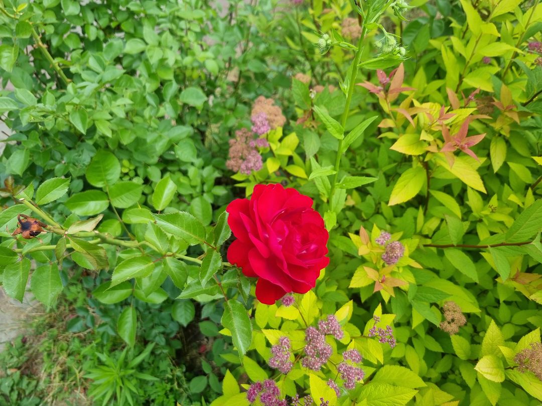 https://image.mom-mom.net/eyJidWNrZXQiOiJtb21tb20tbW9tc3RvdWNoIiwia2V5IjoicGxhY2VzLzY2NjQwMmRiOTkyMDI2OGU4MTUxYzZmNy5qcGciLCJlZGl0cyI6eyJyZXNpemUiOnsid2lkdGgiOjUwMCwiaGVpZ2h0IjozNzV9fX0=