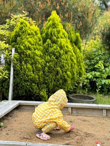 https://image.mom-mom.net/eyJidWNrZXQiOiJtb21tb20tbW9tc3RvdWNoIiwia2V5IjoicGxhY2VzLzY2NjY1YWI4NzRlNmFjNzRiZjFiOWVhMC5qcGciLCJlZGl0cyI6eyJyZXNpemUiOnsid2lkdGgiOjM3NCwiaGVpZ2h0Ijo1MDB9fX0=