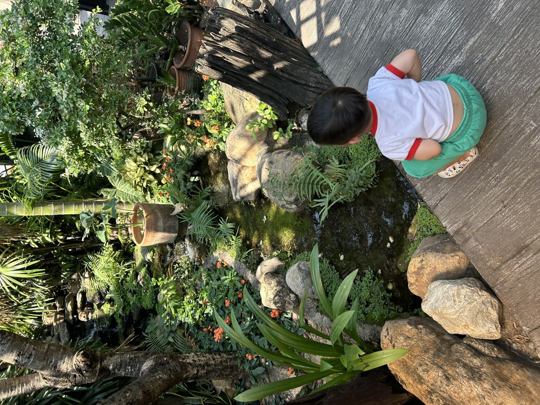 https://image.mom-mom.net/eyJidWNrZXQiOiJtb21tb20tbW9tc3RvdWNoIiwia2V5IjoicGxhY2VzLzY2NjhmNzI1MWJiN2ZmN2Y5ZGI3NGZhYi5qcGVnIiwiZWRpdHMiOnsicmVzaXplIjp7IndpZHRoIjo1MDAsImhlaWdodCI6Mzc1fX19