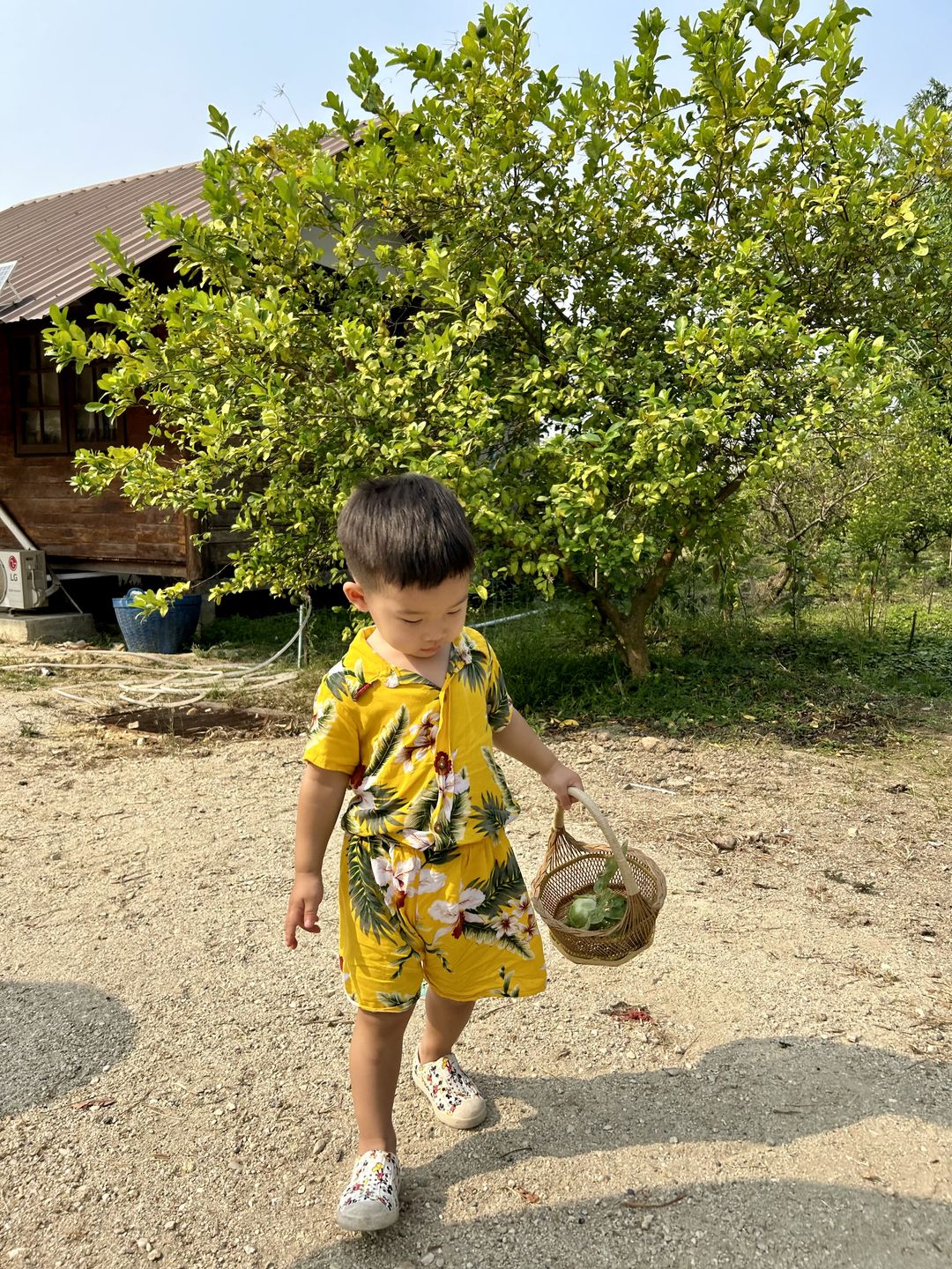 https://image.mom-mom.net/eyJidWNrZXQiOiJtb21tb20tbW9tc3RvdWNoIiwia2V5IjoicGxhY2VzLzY2NjhmODg2ZDM3NjIyYWZmYzkwZmNmYy5qcGVnIiwiZWRpdHMiOnsicmVzaXplIjp7IndpZHRoIjozNzUsImhlaWdodCI6NTAwfX19