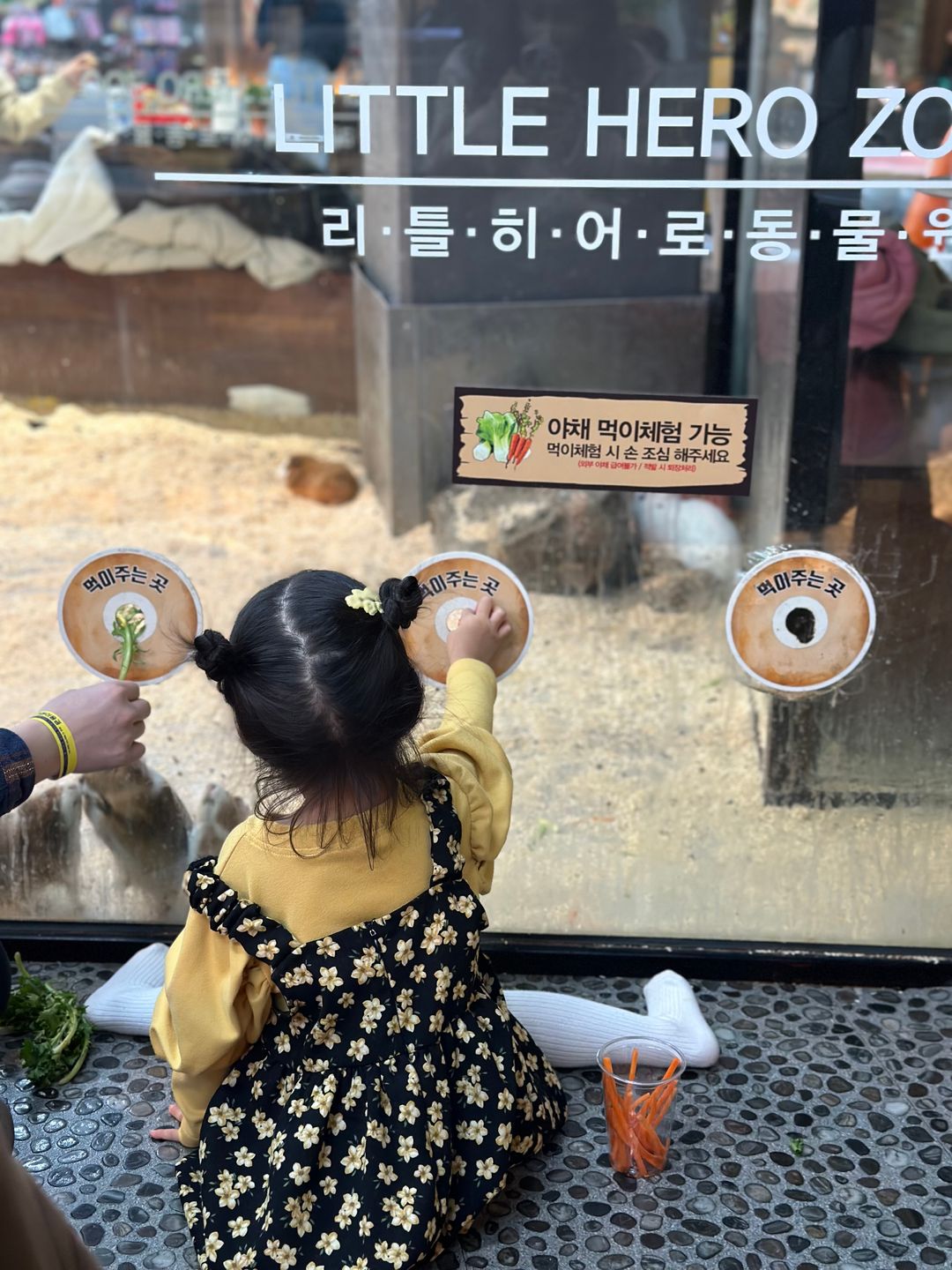 리틀 히어로 ZOO 양산점