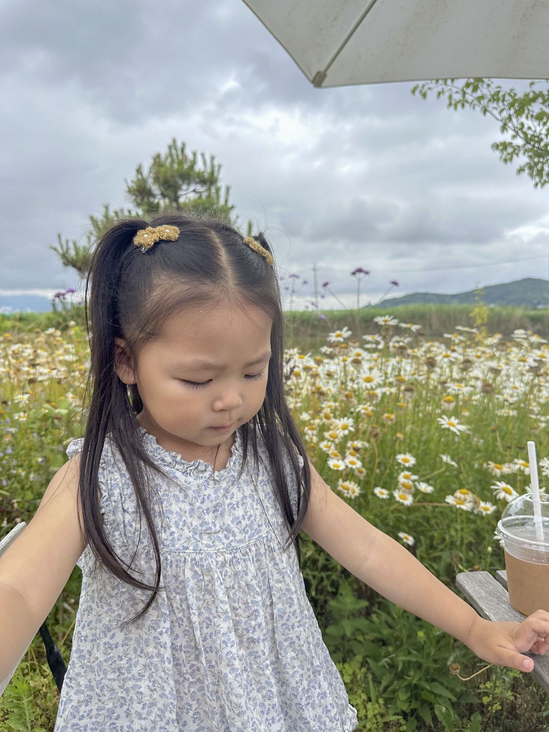 https://image.mom-mom.net/eyJidWNrZXQiOiJtb21tb20tbW9tc3RvdWNoIiwia2V5IjoicGxhY2VzLzY2Nzg0ODdmZjBlZDFkNjVlZDc0ZjFiOC5qcGciLCJlZGl0cyI6eyJyZXNpemUiOnsid2lkdGgiOjM3NSwiaGVpZ2h0Ijo1MDB9fX0=