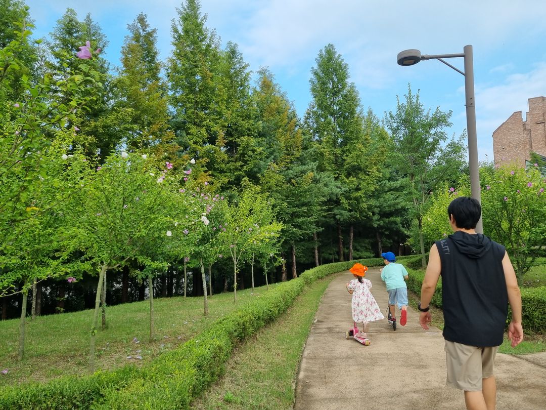 별내 무궁화공원