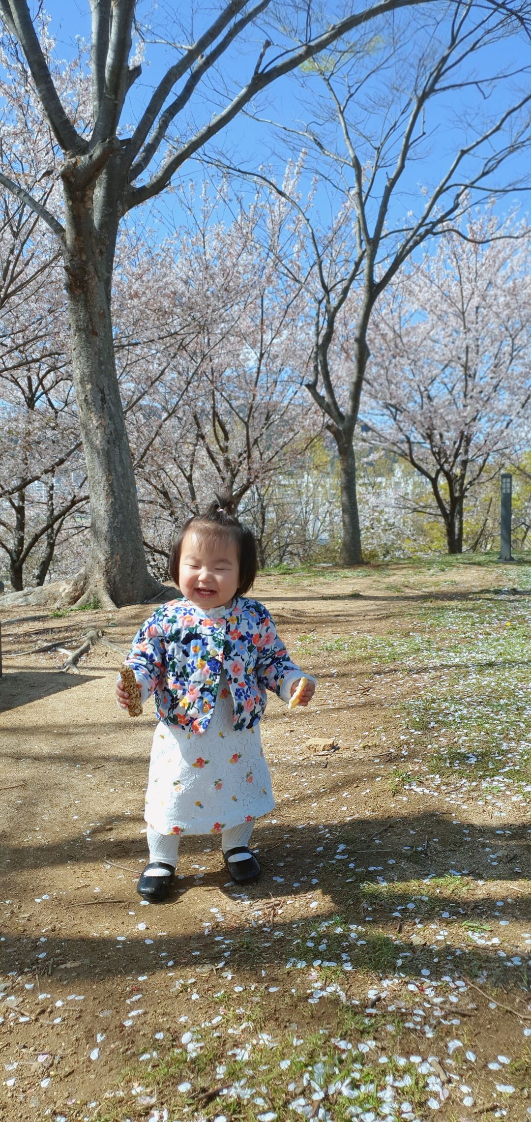 https://image.mom-mom.net/eyJidWNrZXQiOiJtb21tb20tbW9tc3RvdWNoIiwia2V5IjoicGxhY2VzLzY2MDU3Y2JhM2NjYmYzMWFjM2E5NmRkMC5qcGciLCJlZGl0cyI6eyJyZXNpemUiOnsid2lkdGgiOjIzNiwiaGVpZ2h0Ijo1MDB9fX0=