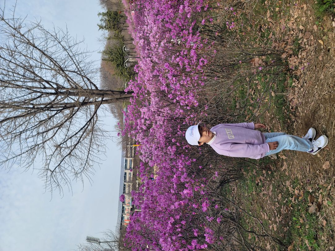 https://image.mom-mom.net/eyJidWNrZXQiOiJtb21tb20tbW9tc3RvdWNoIiwia2V5IjoicGxhY2VzLzY2MDk0NDcwZWMxNzA3ODIzZjQwYjM4ZC5qcGciLCJlZGl0cyI6eyJyZXNpemUiOnsid2lkdGgiOjUwMCwiaGVpZ2h0IjozNzV9fX0=