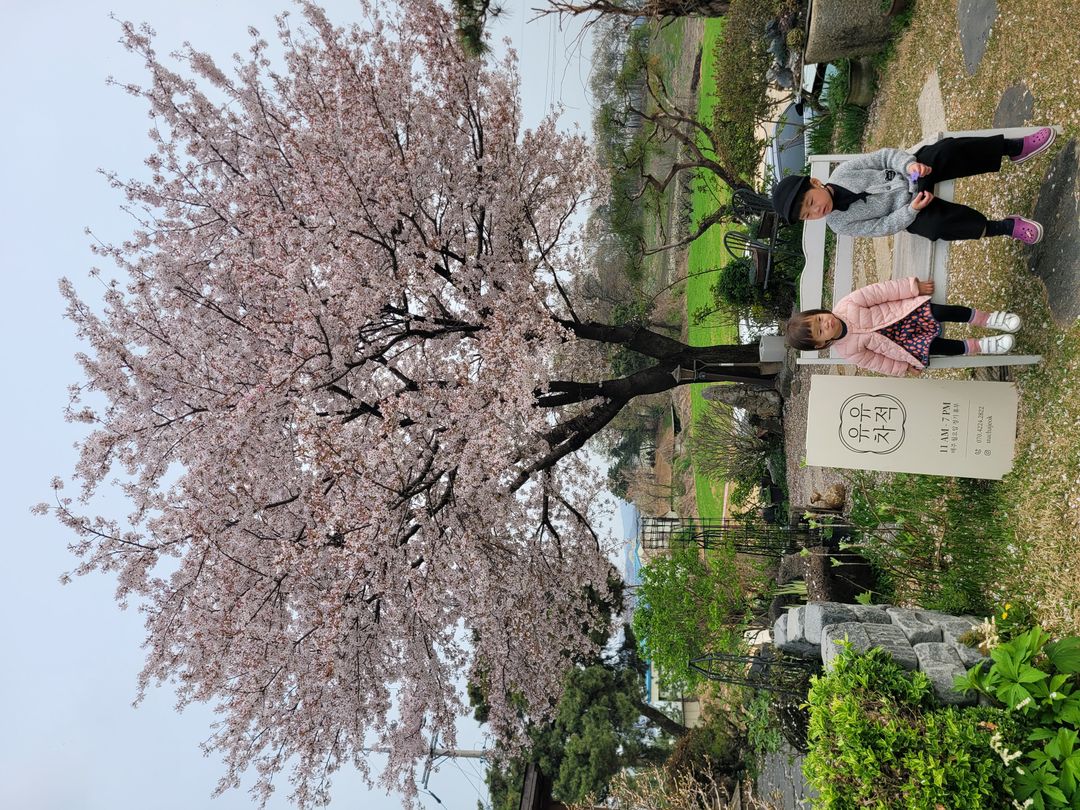 https://image.mom-mom.net/eyJidWNrZXQiOiJtb21tb20tbW9tc3RvdWNoIiwia2V5IjoicGxhY2VzLzY2MTYwOWY5NmMwZGE0NmVmNmU3Mjk4YS5qcGciLCJlZGl0cyI6eyJyZXNpemUiOnsid2lkdGgiOjUwMCwiaGVpZ2h0IjozNzV9fX0=