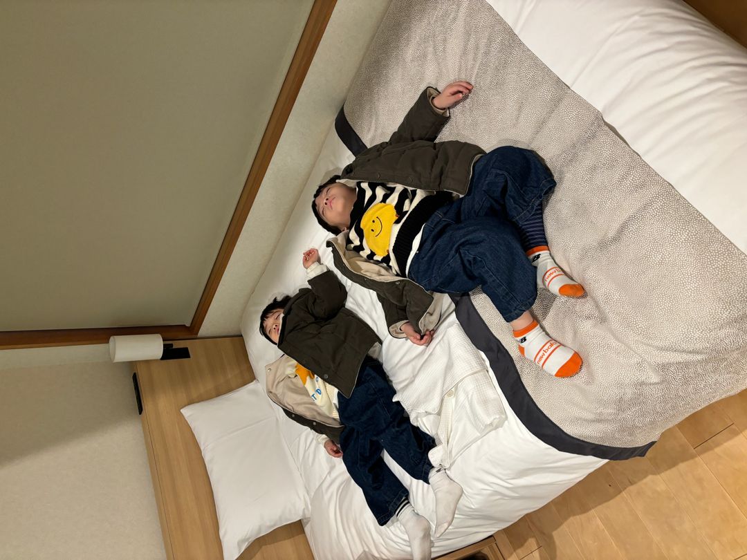 도쿄 도세이 호텔 코코네 우에노