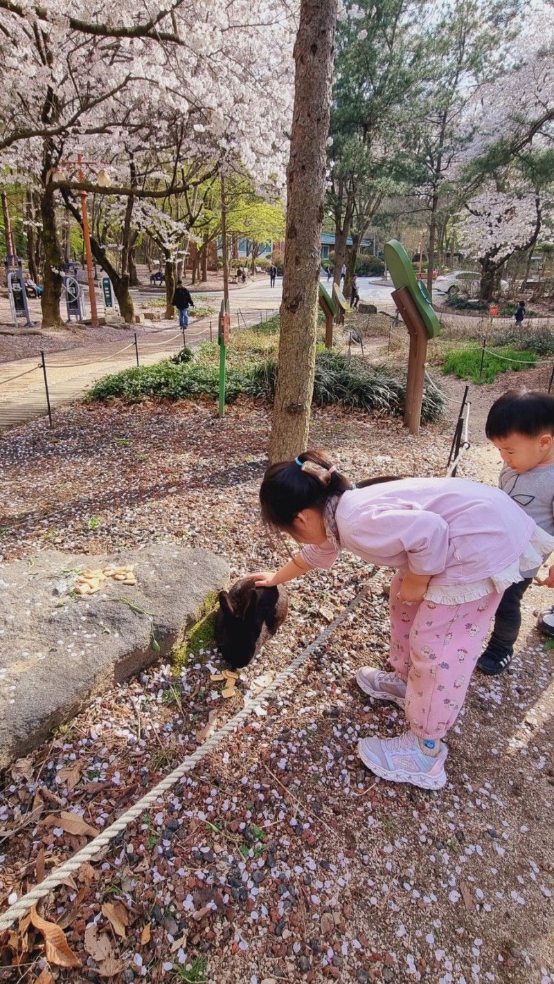 고산골어린이체험학습장