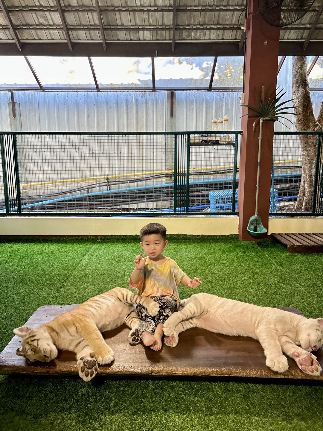 https://image.mom-mom.net/eyJidWNrZXQiOiJtb21tb20tbW9tc3RvdWNoIiwia2V5IjoicGxhY2VzLzY2Mzg2Zjc3ODlmNTg0ZmM2ZGI0NGU0NC5qcGVnIiwiZWRpdHMiOnsicmVzaXplIjp7IndpZHRoIjozNzUsImhlaWdodCI6NTAwfX19