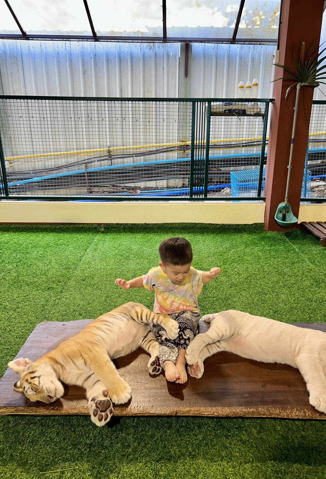 https://image.mom-mom.net/eyJidWNrZXQiOiJtb21tb20tbW9tc3RvdWNoIiwia2V5IjoicGxhY2VzLzY2Mzg2Zjc3ZTk4ZmVmYWYwZGNhMWJiNy5qcGVnIiwiZWRpdHMiOnsicmVzaXplIjp7IndpZHRoIjozNDAsImhlaWdodCI6NTAwfX19