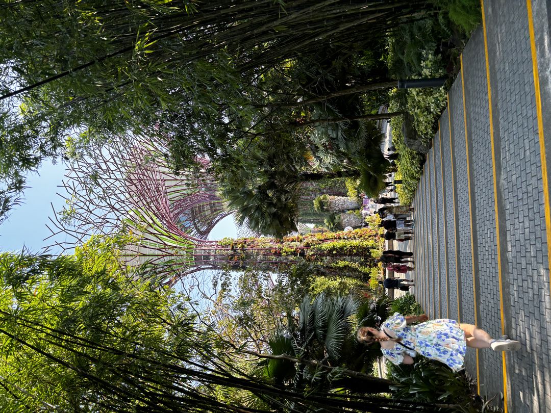 https://image.mom-mom.net/eyJidWNrZXQiOiJtb21tb20tbW9tc3RvdWNoIiwia2V5IjoicGxhY2VzLzY2YTllZjU0YmJhOTRjYTNlOGFiMjNhZi5qcGVnIiwiZWRpdHMiOnsicmVzaXplIjp7IndpZHRoIjo1MDAsImhlaWdodCI6Mzc1fX19