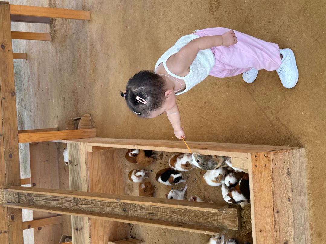 https://image.mom-mom.net/eyJidWNrZXQiOiJtb21tb20tbW9tc3RvdWNoIiwia2V5IjoicGxhY2VzLzY2YzE3NDgwMGZiNzBlMDJmODNjYzg5OS5qcGVnIiwiZWRpdHMiOnsicmVzaXplIjp7IndpZHRoIjoxMDgwLCJ3aXRob3V0RW5sYXJnZW1lbnQiOnRydWV9fX0=