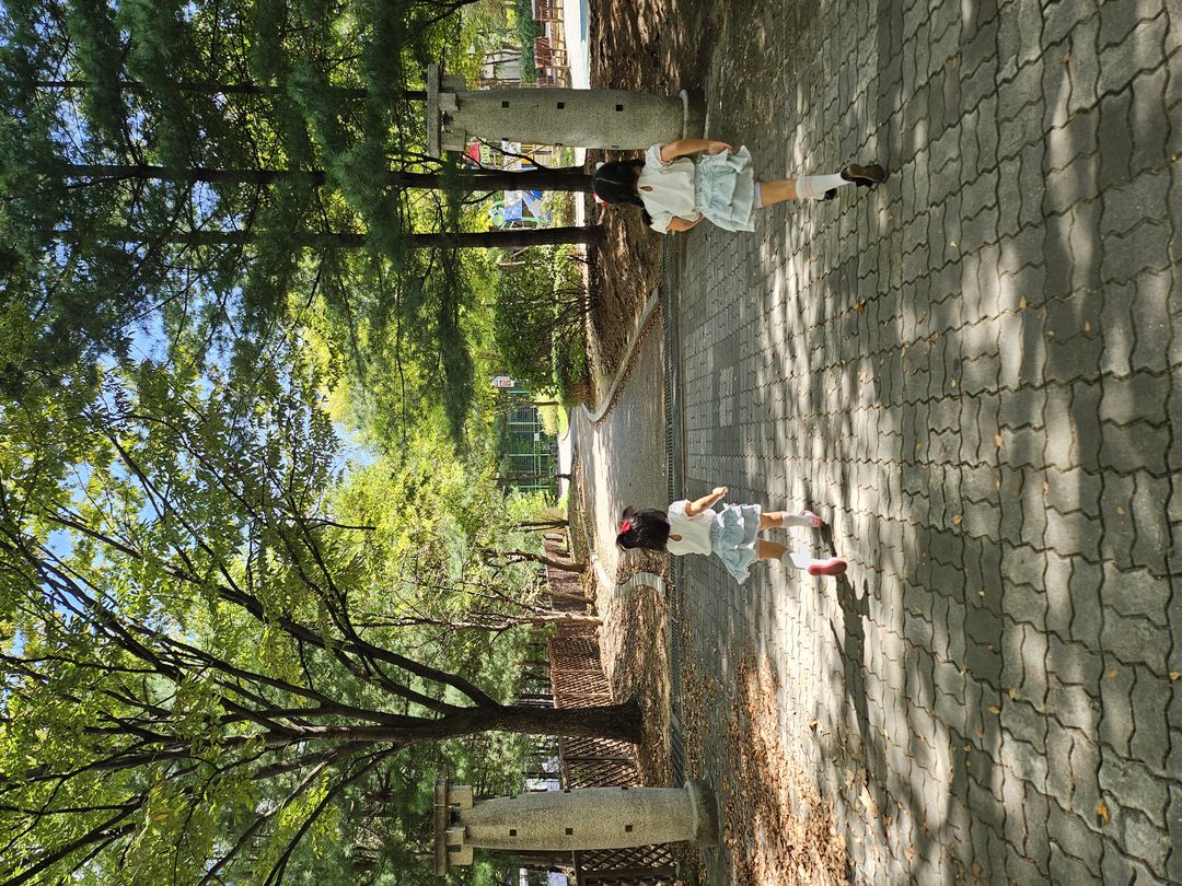 https://image.mom-mom.net/eyJidWNrZXQiOiJtb21tb20tbW9tc3RvdWNoIiwia2V5IjoicGxhY2VzLzY2ZjgyZDk2ZDNlM2ZmNjBlMmQzZjMxOC5qcGciLCJlZGl0cyI6eyJyZXNpemUiOnsid2lkdGgiOjUwMCwiaGVpZ2h0IjozNzV9fX0=