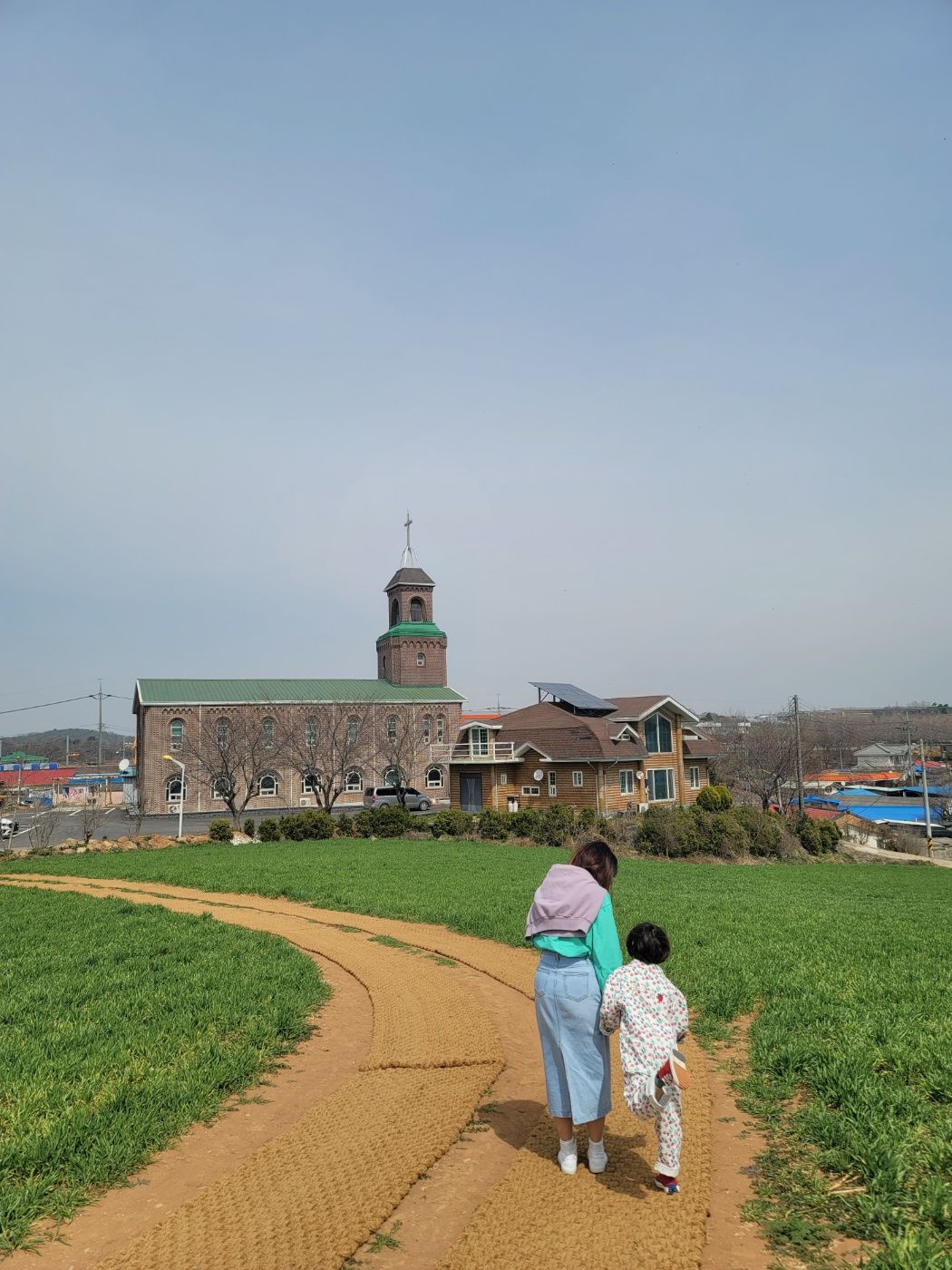 천북청보리밭