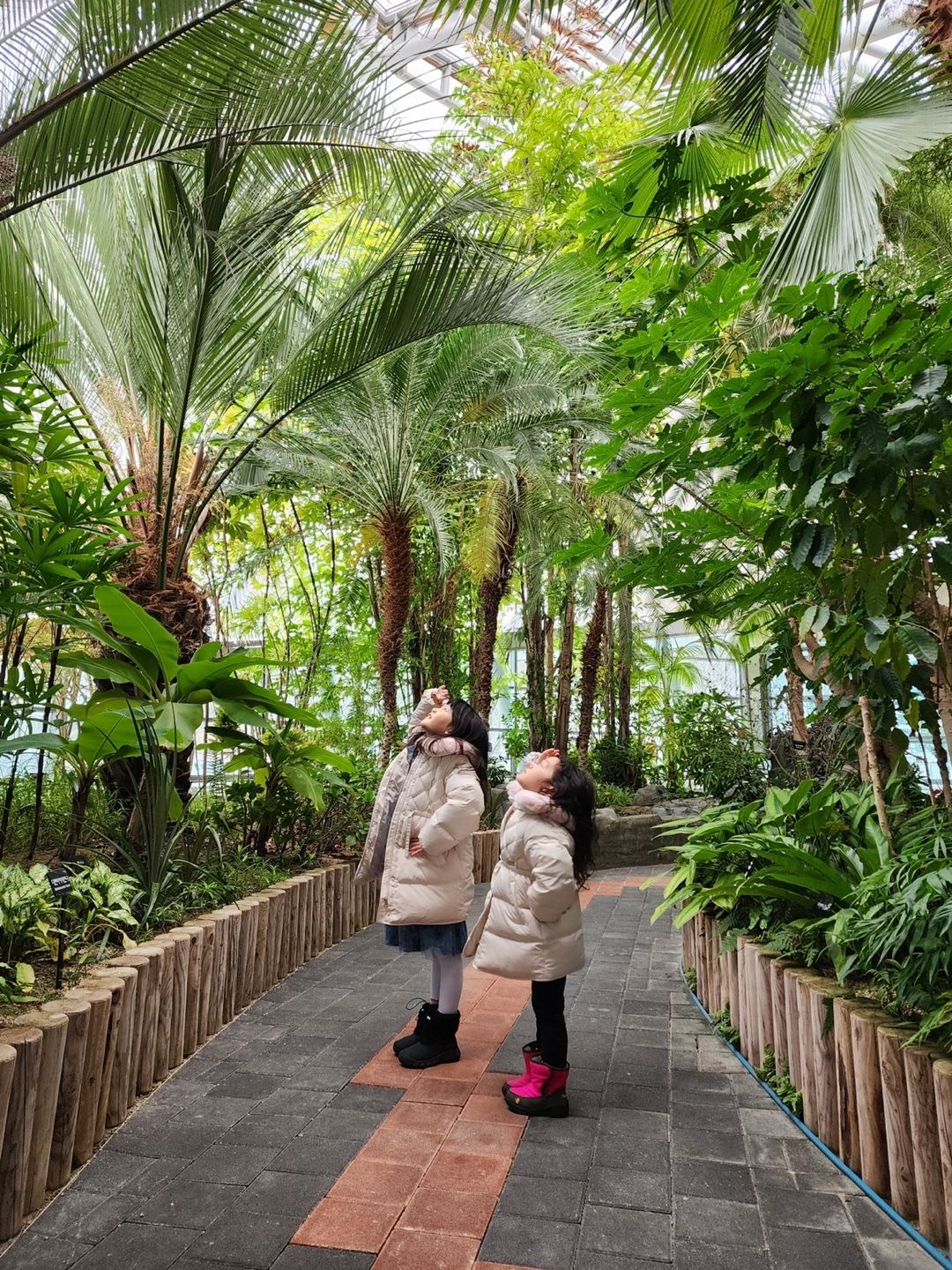 https://image.mom-mom.net/eyJidWNrZXQiOiJtb21tb20tbW9tc3RvdWNoIiwia2V5IjoicGxhY2VzLzY3OWM5MDBkM2NjOWYwYmRhNmM5NzNiYy5qcGciLCJlZGl0cyI6eyJyZXNpemUiOnsid2lkdGgiOjM3NSwiaGVpZ2h0Ijo1MDB9fX0=