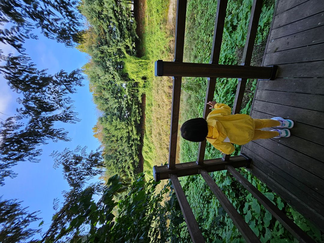 https://image.mom-mom.net/eyJidWNrZXQiOiJtb21tb20tbW9tc3RvdWNoIiwia2V5IjoicGxhY2VzLzY3MDJhOTRhNWZlYmIyZDJjZWY3N2Y0Ni5qcGciLCJlZGl0cyI6eyJyZXNpemUiOnsid2lkdGgiOjEwODAsIndpdGhvdXRFbmxhcmdlbWVudCI6dHJ1ZX19fQ==