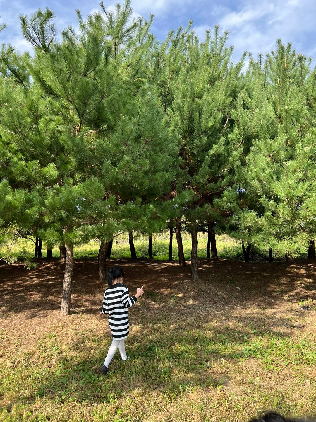 https://image.mom-mom.net/eyJidWNrZXQiOiJtb21tb20tbW9tc3RvdWNoIiwia2V5IjoicGxhY2VzLzY3MDY0MTA5ODg0ZDMwNTA1OGMwNjgxYi5KUEVHIiwiZWRpdHMiOnsicmVzaXplIjp7IndpZHRoIjozNzUsImhlaWdodCI6NTAwfX19