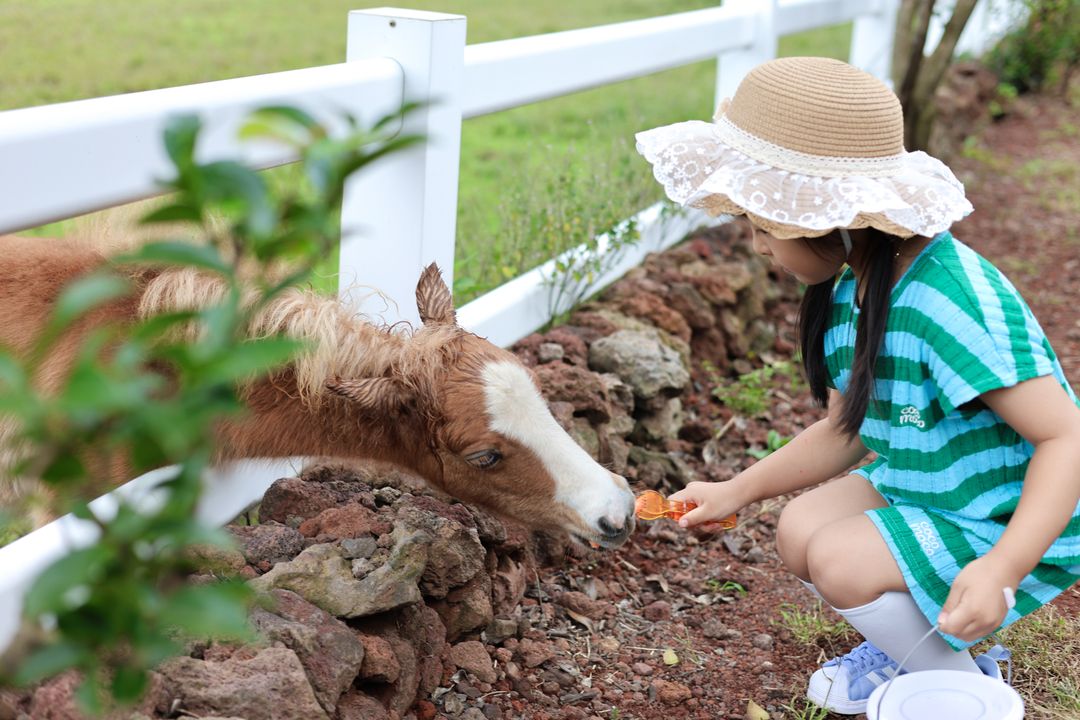 https://image.mom-mom.net/eyJidWNrZXQiOiJtb21tb20tbW9tc3RvdWNoIiwia2V5IjoicGxhY2VzLzY3MGZkY2ZhZDBiN2E3ZjY3NzBiZGZjNy5KUEciLCJlZGl0cyI6eyJyZXNpemUiOnsid2lkdGgiOjEwODAsIndpdGhvdXRFbmxhcmdlbWVudCI6dHJ1ZX19fQ==