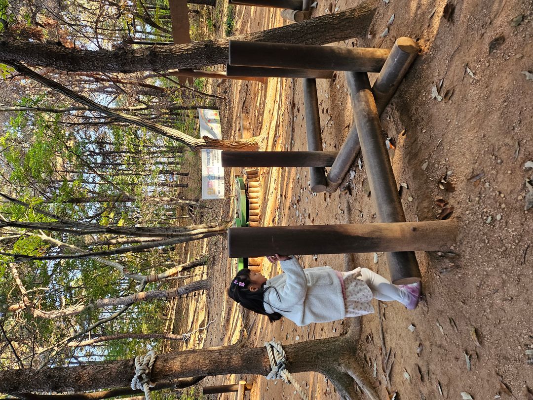 https://image.mom-mom.net/eyJidWNrZXQiOiJtb21tb20tbW9tc3RvdWNoIiwia2V5IjoicGxhY2VzLzY3MzE4YTQxM2QyNmExYjM3NTc3NTE3My5qcGciLCJlZGl0cyI6eyJyZXNpemUiOnsid2lkdGgiOjUwMCwiaGVpZ2h0IjozNzV9fX0=