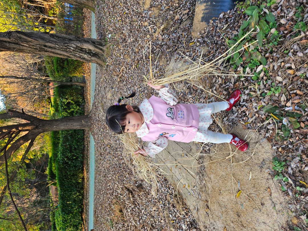 https://image.mom-mom.net/eyJidWNrZXQiOiJtb21tb20tbW9tc3RvdWNoIiwia2V5IjoicGxhY2VzLzY3MzE4ZDRlZmM1ZWU5MDk5NDY1NmI1OC5qcGciLCJlZGl0cyI6eyJyZXNpemUiOnsid2lkdGgiOjUwMCwiaGVpZ2h0IjozNzV9fX0=